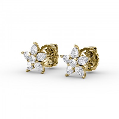 Shine Bright Diamond Star Stud Earrings 